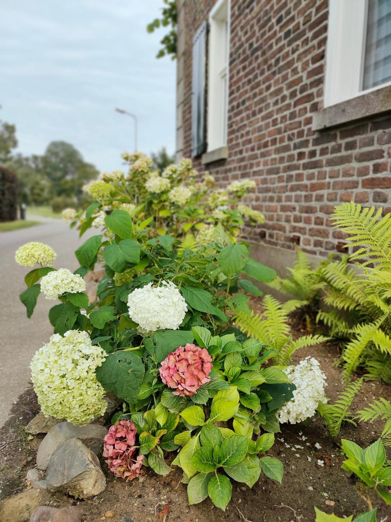 B&B In De Roos Lottum Exterior photo